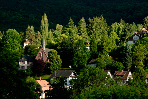 Landschaftsfoto: HD Schlierbach