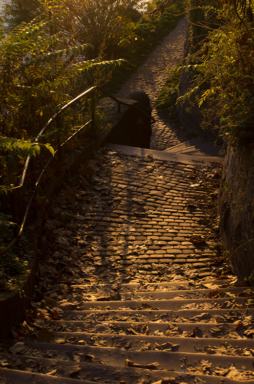 treppe in der Abendsonne